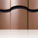 polidexter