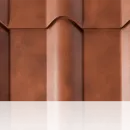 Safari Brown